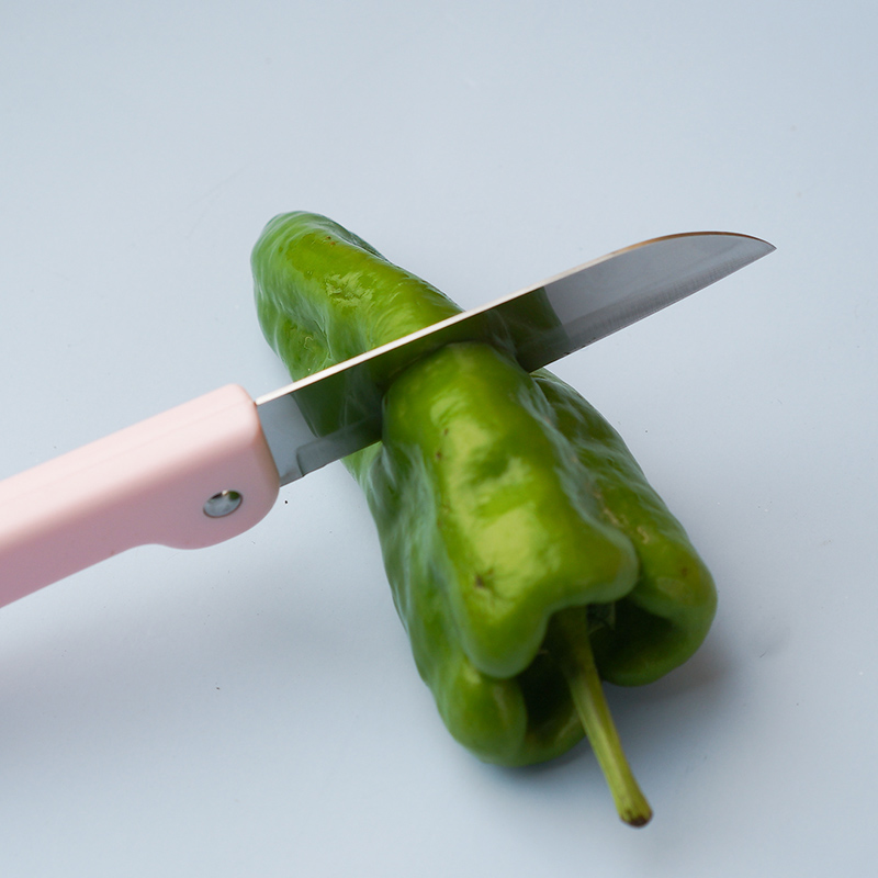 广饶水果刀-04